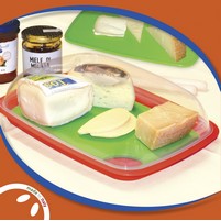 PORTAFORMAGGIO SCONGELACIBI 30X22 